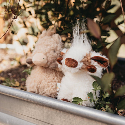 WEE STUFF ANIMAL