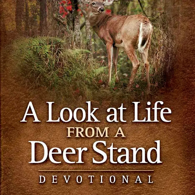 A Look At Life from A Deer Stand